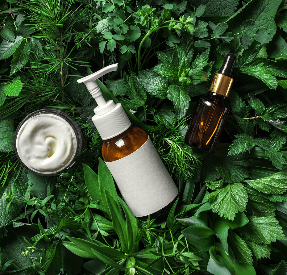 Skincare products on lush green foliage.